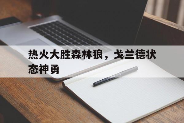 包含热火大胜森林狼，戈兰德状态神勇的词条